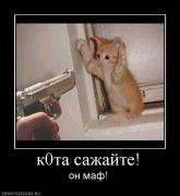 Прикрепленное изображение: 886426_k0ta_sazhajte.jpg