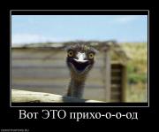 Прикрепленное изображение: 304180_vot_eto_priho_o_o_od.jpg