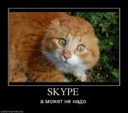 Прикрепленное изображение: 199478_skype.jpg