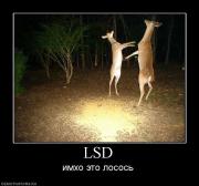 Прикрепленное изображение: 269734_lsd.jpg