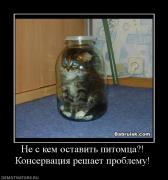 Прикрепленное изображение: 407965_ne_s_kem_ostavit_pitomtsa_konservatsiya_reshaet_problemu.jpg