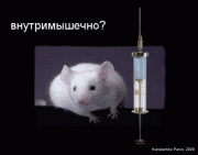 Прикрепленное изображение: 03inmuscle.gif