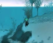Прикрепленное изображение: WoWScrnShot_052909_071354.jpg