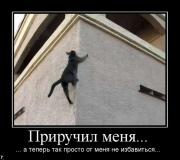 Прикрепленное изображение: demotivatori_1127_170.jpg