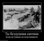Прикрепленное изображение: 388064_tyi_bezdushnaya_skotina.jpg