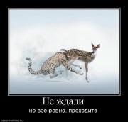 Прикрепленное изображение: 487009_ne_zhdali.jpg