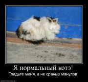 Прикрепленное изображение: 825073_ya_normalnyij_kote.jpg