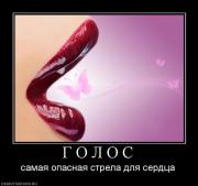 Прикрепленное изображение: 484868_g_o_l_o_s.jpg