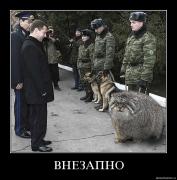 Прикрепленное изображение: y8vuvbs9hr14.jpg