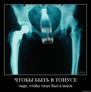 Прикрепленное изображение: hez05b0akz1d.jpg