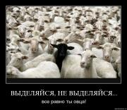 Прикрепленное изображение: 4aqoh3lbzjpl.jpg