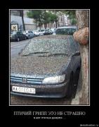 Прикрепленное изображение: 33zdztzuy701.jpg