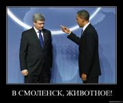 Прикрепленное изображение: sufub2g11s6b.jpg