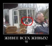 Прикрепленное изображение: n4cvmlj8tmzt.jpg