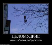 Прикрепленное изображение: 22.jpg