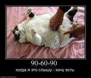 Прикрепленное изображение: 623657_90_60_90_.jpg