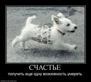 Прикрепленное изображение: 676824_schaste.jpg