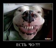 Прикрепленное изображение: 1255044175_21.jpg