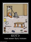 Прикрепленное изображение: 147732_kote.jpg