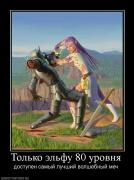 Прикрепленное изображение: 387449_tolko_elfu_80_urovnya.jpg