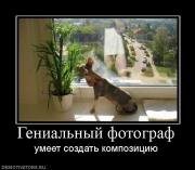Прикрепленное изображение: 751831_genialnyij_fotograf.jpg
