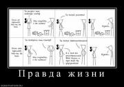 Прикрепленное изображение: 834972_p_r_a_v_d_a_zh_i_z_n_i.jpg