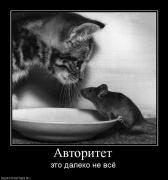 Прикрепленное изображение: 745409_avtoritet.jpg