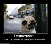Прикрепленное изображение: 978977_odinochestvo.jpg