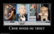 Прикрепленное изображение: 904161_svoya_nosha_ne_tyanet.jpg