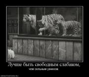 Прикрепленное изображение: 961622_luchshe_byit_svobodnyim_slabakom.jpg