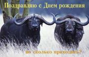 Прикрепленное изображение: 46.jpg