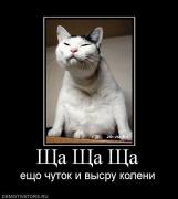 Прикрепленное изображение: 31917_scha_scha_scha.jpg