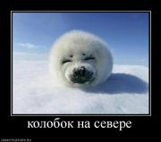 Прикрепленное изображение: 301072_kolobok_na_severe.jpg