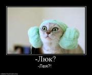 Прикрепленное изображение: 329308__lyuk.jpg