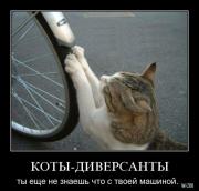 Прикрепленное изображение: _________.jpg