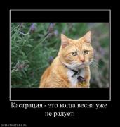 Прикрепленное изображение: 365471_kastratsiya_eto_kogda_vesna_uzhe_ne_raduet.jpg