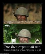 Прикрепленное изображение: 387669_eto_byil_strannyij_les.jpg