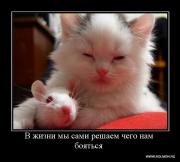 Прикрепленное изображение: z_116.jpg