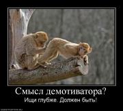 Прикрепленное изображение: 651002_smyisl_demotivatora.jpg