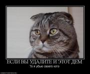 Прикрепленное изображение: 164899_esli_vyi_udalite_i_etot_dem.jpg