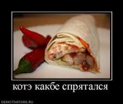 Прикрепленное изображение: 33618_kote_kakbe_spryatalsya.jpg