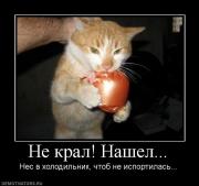 Прикрепленное изображение: 27496_ne_kral_nashel.jpg