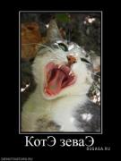 Прикрепленное изображение: x_7ca6d974.jpg