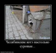 Прикрепленное изображение: x_2294d49a.jpg