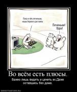 Прикрепленное изображение: 331103_vo_vsyom_est_plyusyi.jpg
