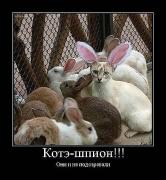 Прикрепленное изображение: x_31c0f6a9.jpg