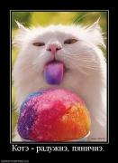 Прикрепленное изображение: 77549_kote_raduzhne_pyanichne.jpg