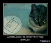 Прикрепленное изображение: x_7bec4a9e.jpg