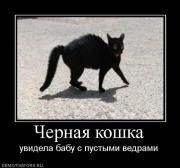 Прикрепленное изображение: 10056_chernaya_koshka.jpg