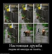 Прикрепленное изображение: x_3b439b2a.jpg